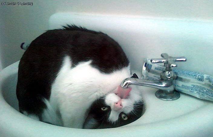 Татьяна Бугрий |