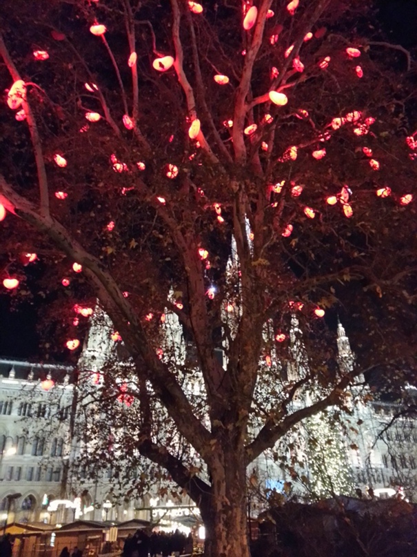 Михаил Колесник | Запорожье