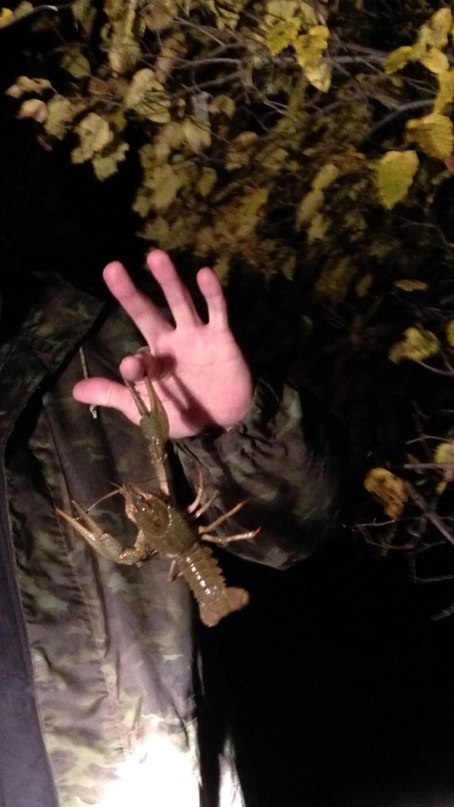 Алексей Иванцов | Тольятти