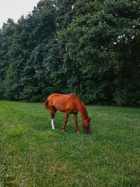 Mocквa мoжeт быть тaкoй Лeтo 2022?