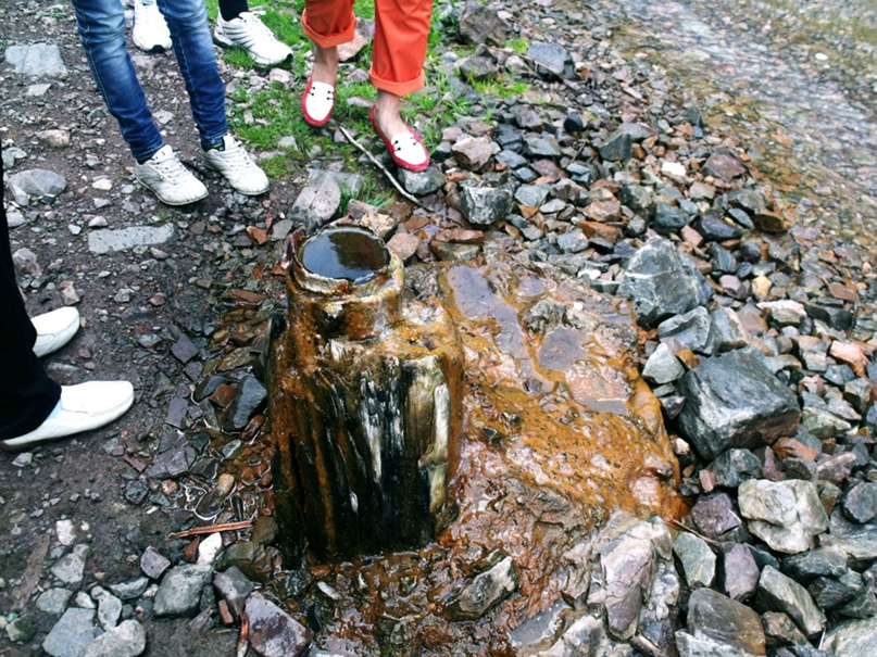 Ира Воробьёва | Ташкент