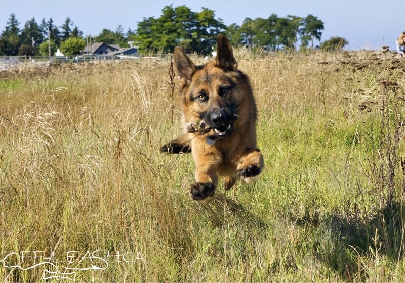 Денис Скворцов | Альметьевск