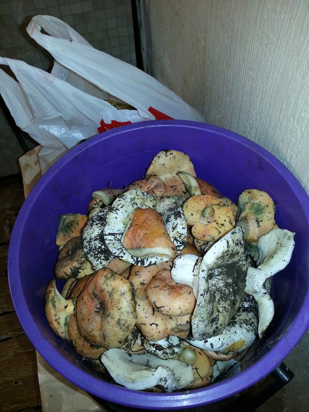 Лена Захарова | Улан-Удэ