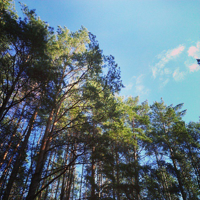 Вадим Гусаров | Казань