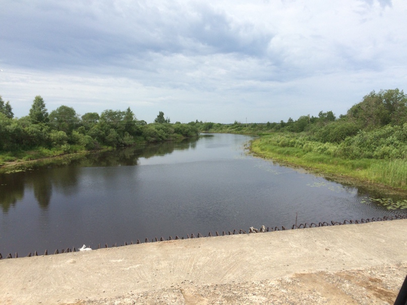 Максим Суслов Владимирович | Санкт-Петербург