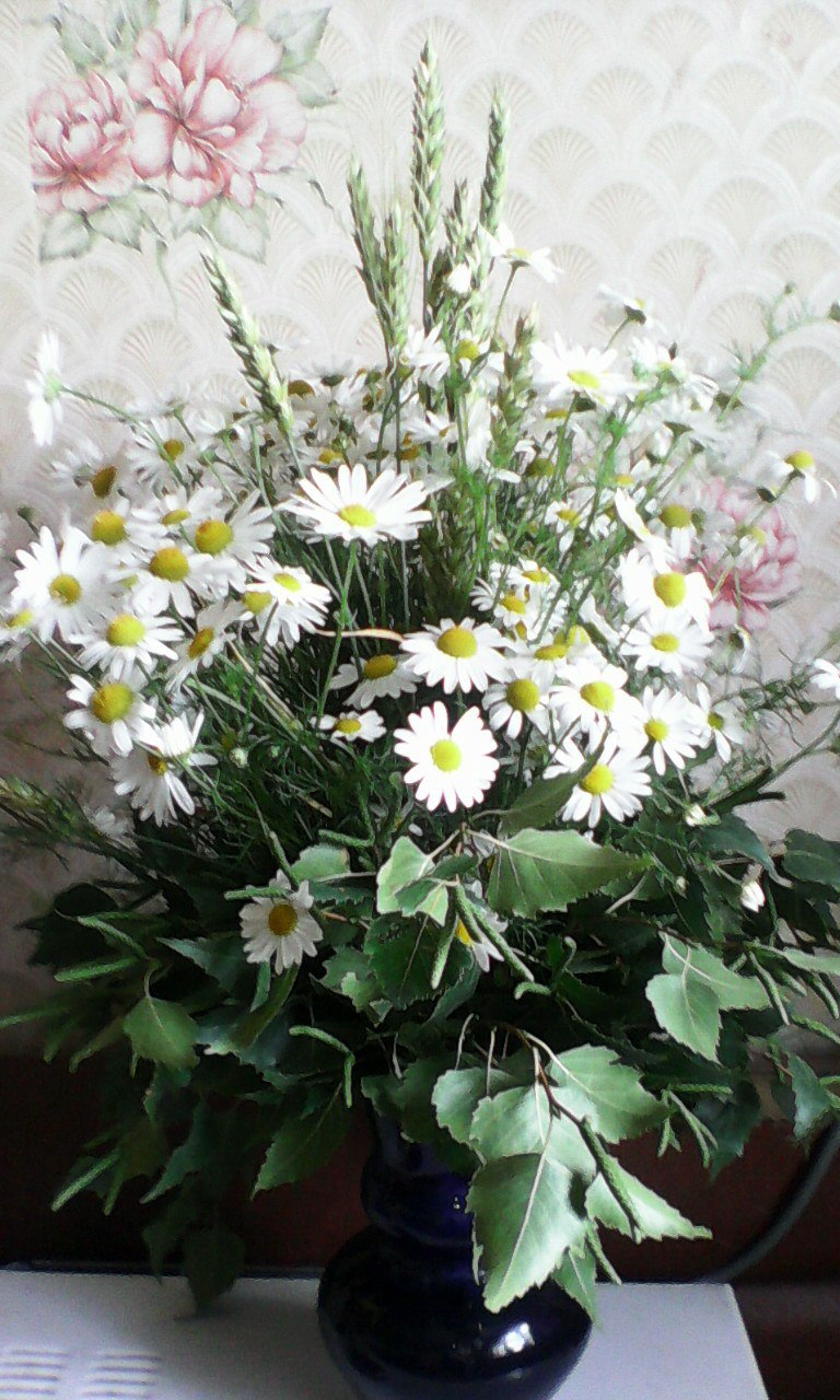 Екатерина Мотовилова | Челябинск