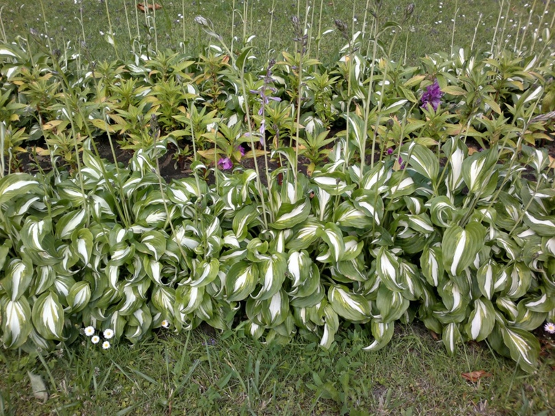 Людмила Кулакова | Санкт-Петербург