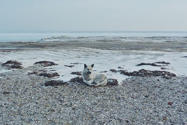 Маша Еремина |