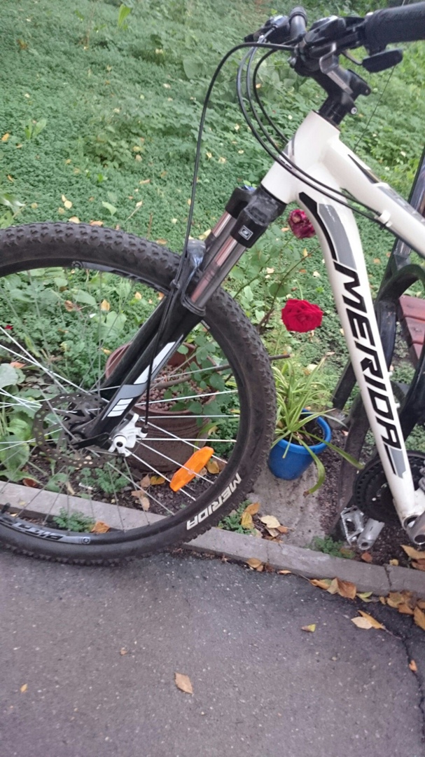 Дима Сацута | Санкт-Петербург