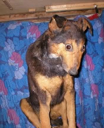 Дмитрий Умнов | Ульяновск