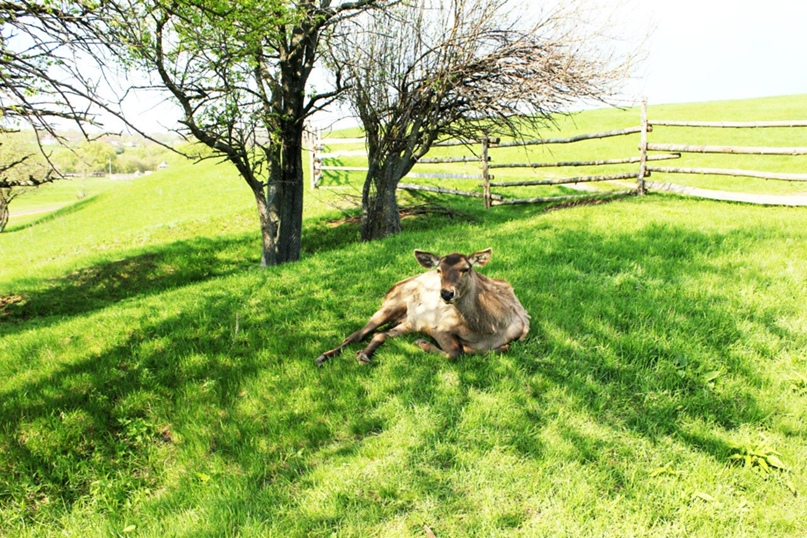 Юлия Савушкина | Воронеж