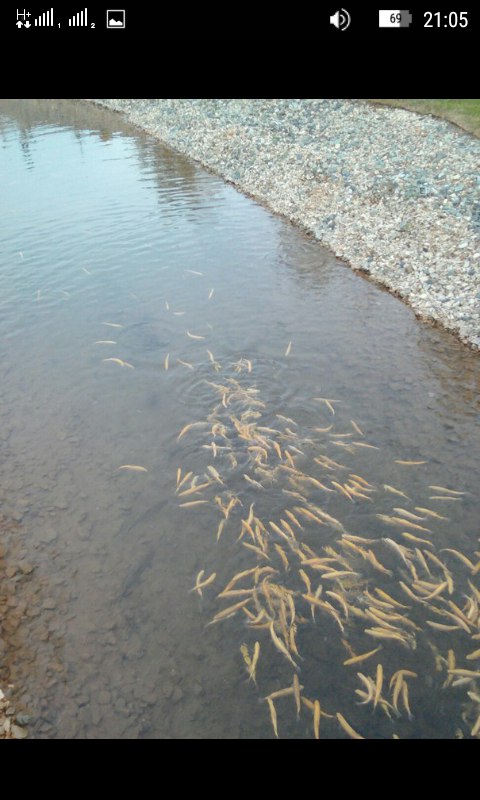 Руслан Сорокин | Советск