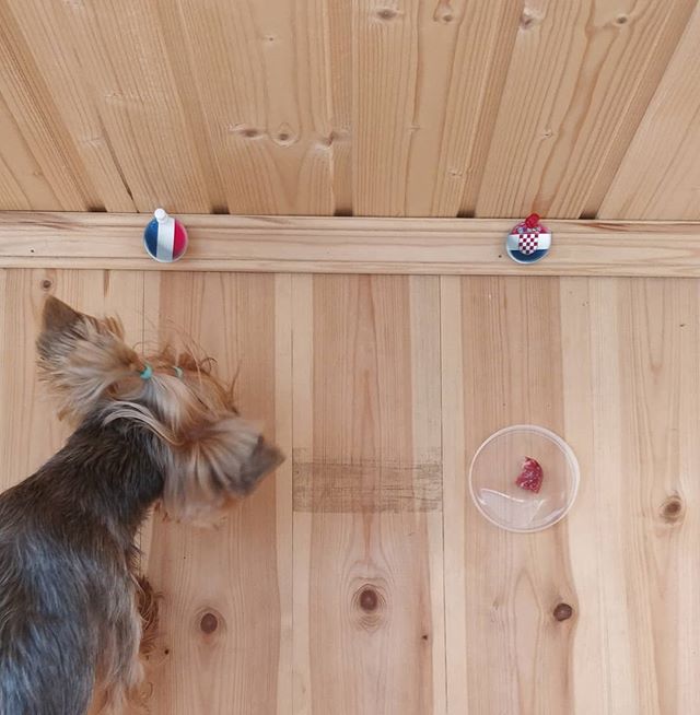 Алексей Кондрашин Борисович | Ульяновск