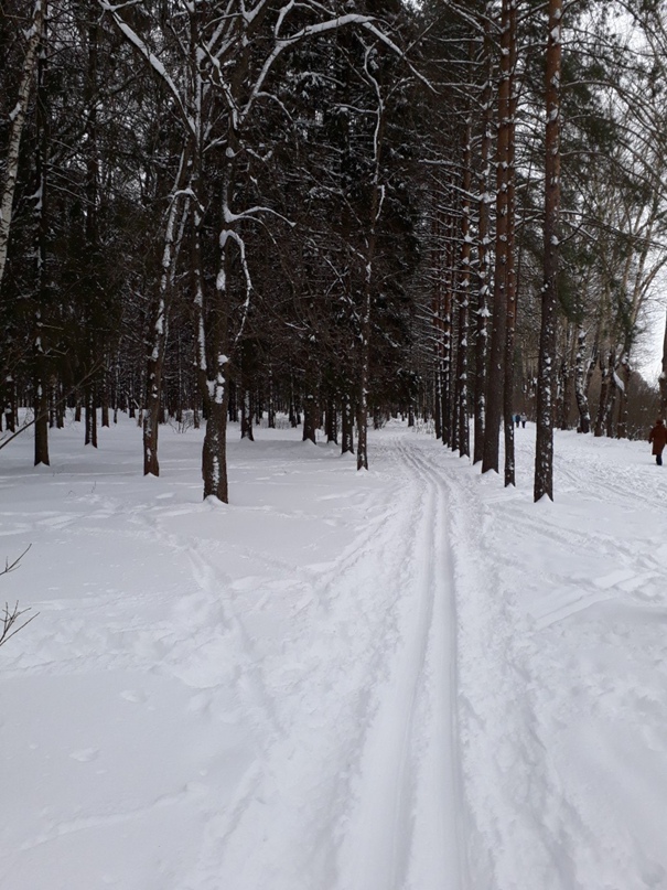 Ирина Полянская | Вологда