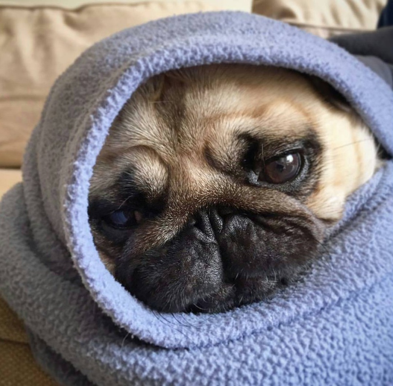 Катя Лазаренко | Екатеринбург