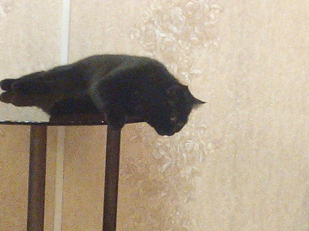 Юля Юлина | Екатеринбург