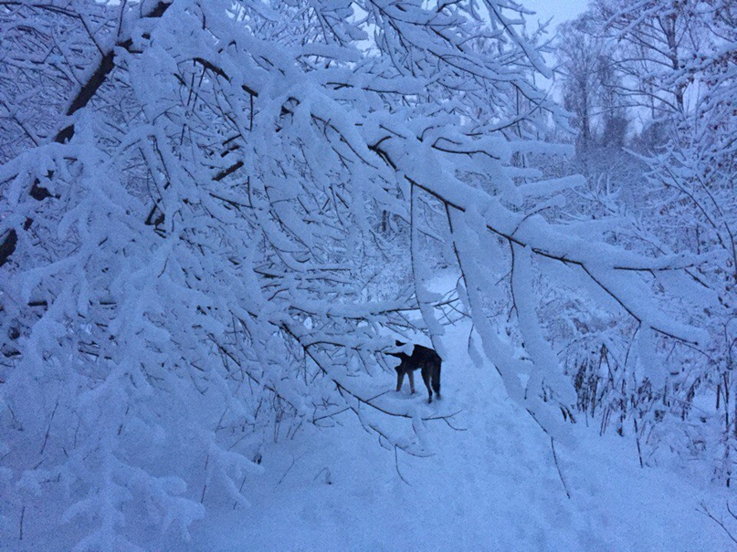 Наталья Цой | Москва