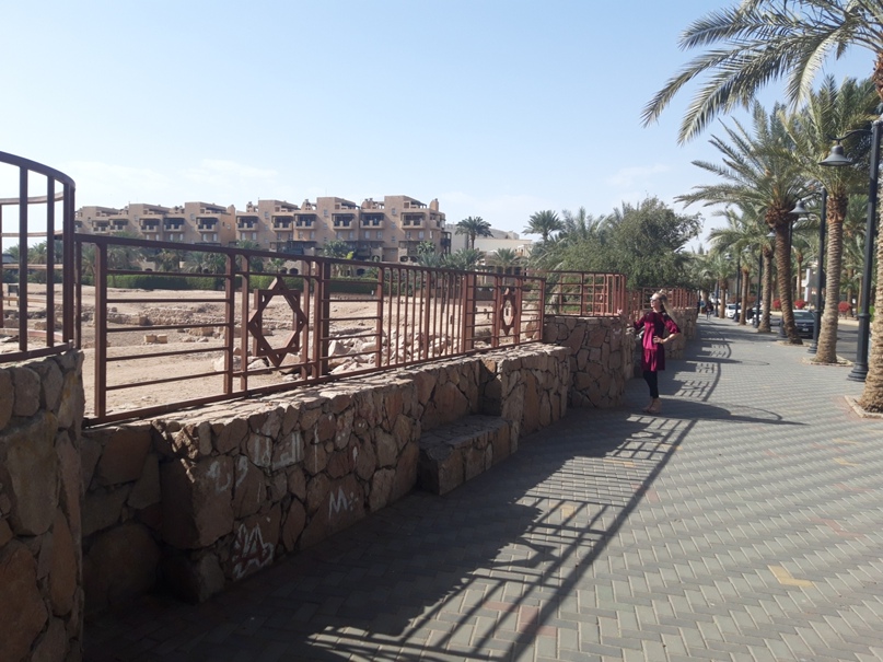 Таня Новоселова Arienta | Санкт-Петербург