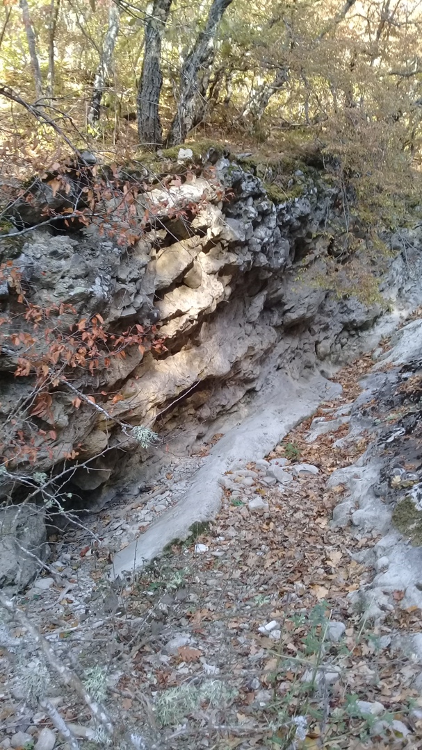 Татьяна Гладышева | Феодосия