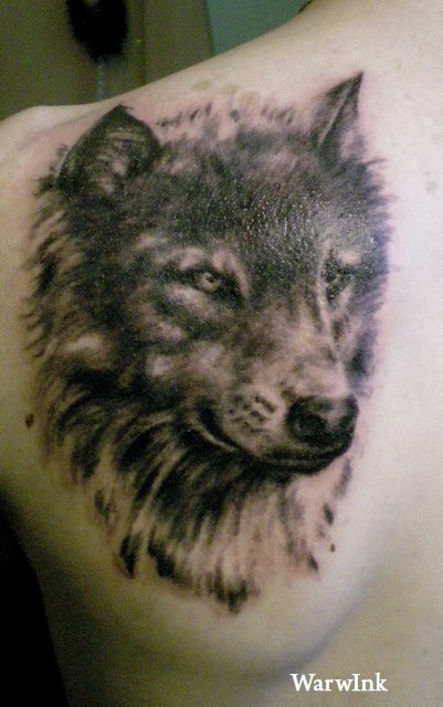 Вадим Кравчук | Брест