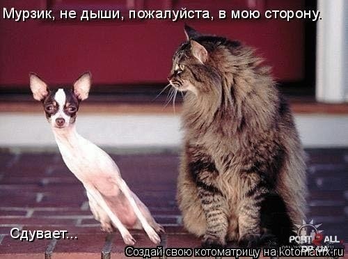 Евгения Алексеевна | Урай