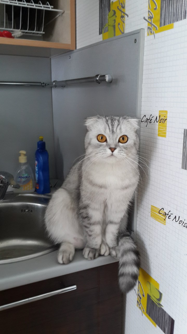 Александр Дудин | Екатеринбург