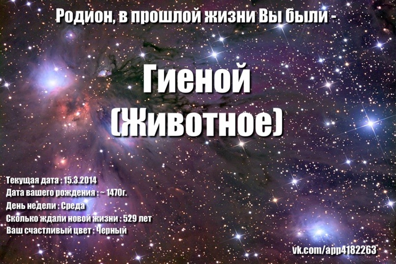 Родион Кузьмин | Новосибирск