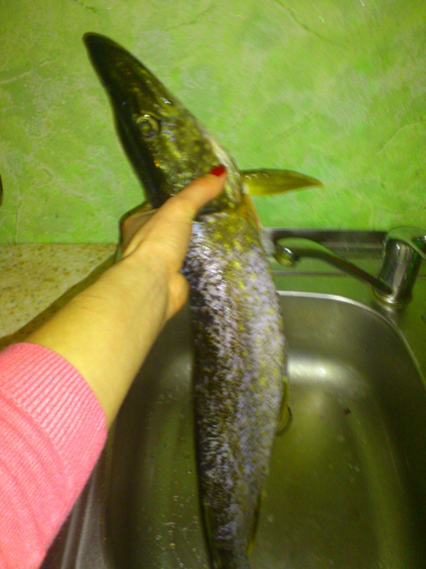 Дарья Белякова | Пестово