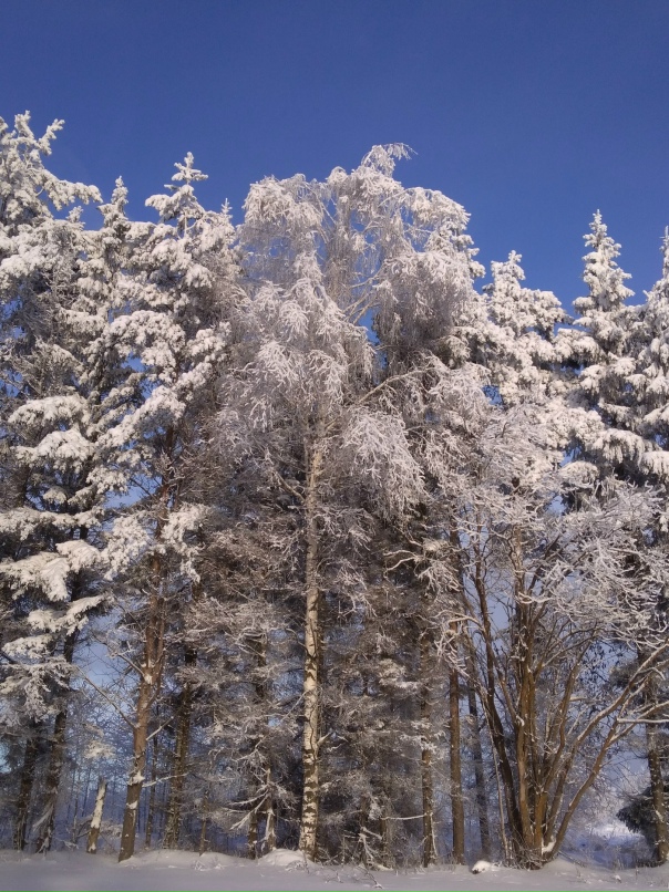 Людмила Симонова | Череповец