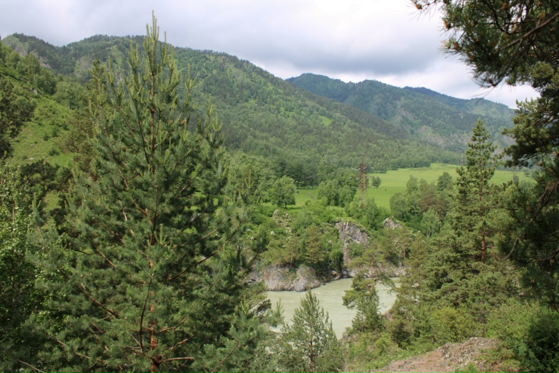 Василий Герасимов | Преображенская