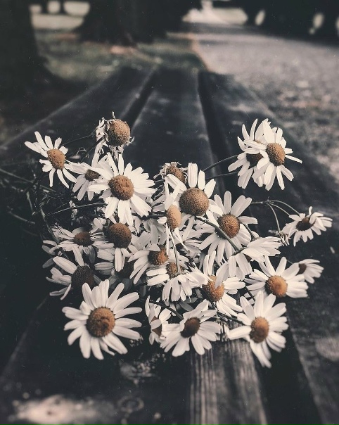 Poмашки — это любовь