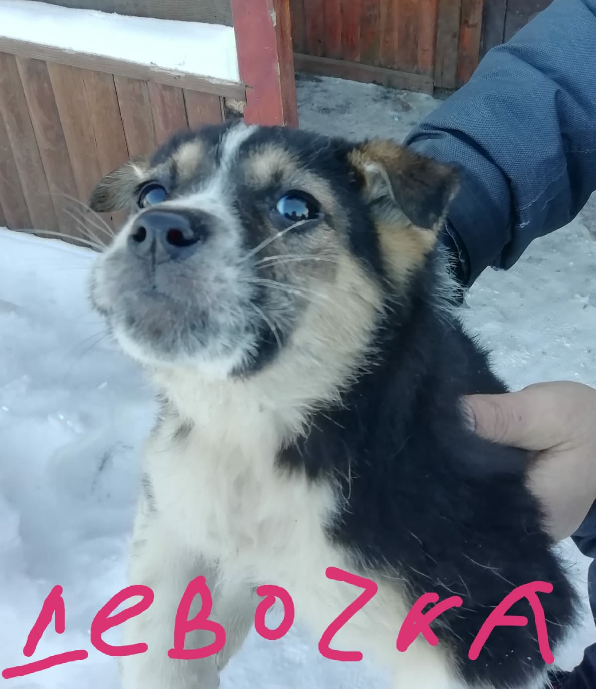 Пристраиваются девочки в частный сектор! Отличные звоночки
Возраст