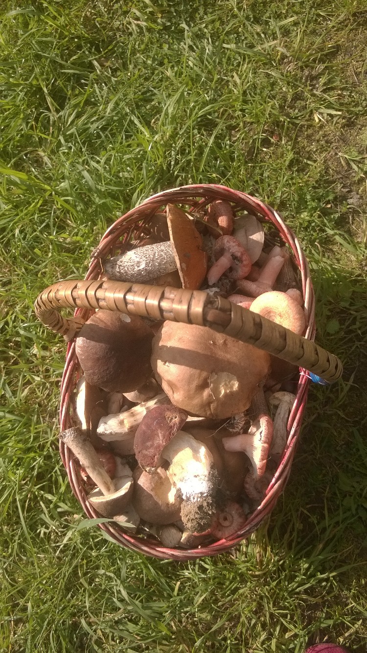 Елена Малинина | Санкт-Петербург