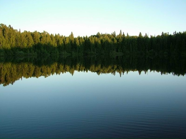 Куда кировчанам поехать на выходные: озеро с дрейфующими островами или водоем с