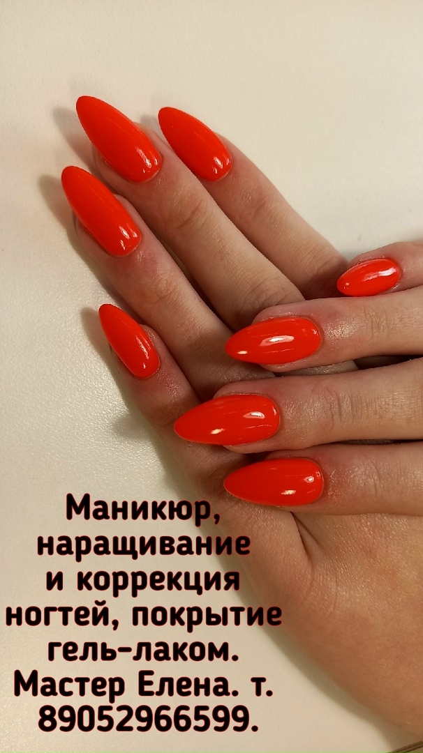 Елена Литвиненко | Грязовец