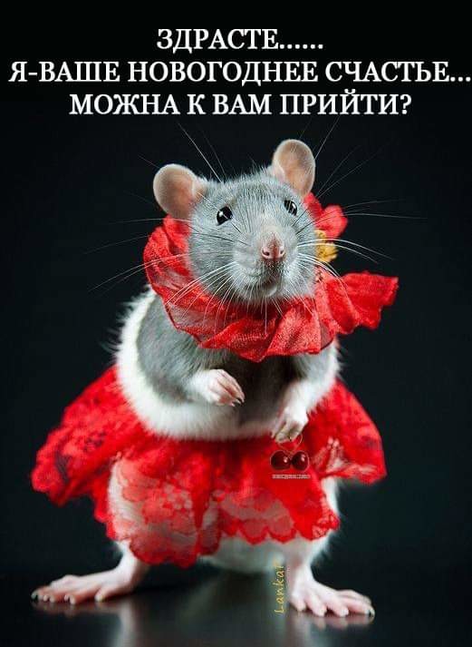 Ирина Ковалевская | Лида