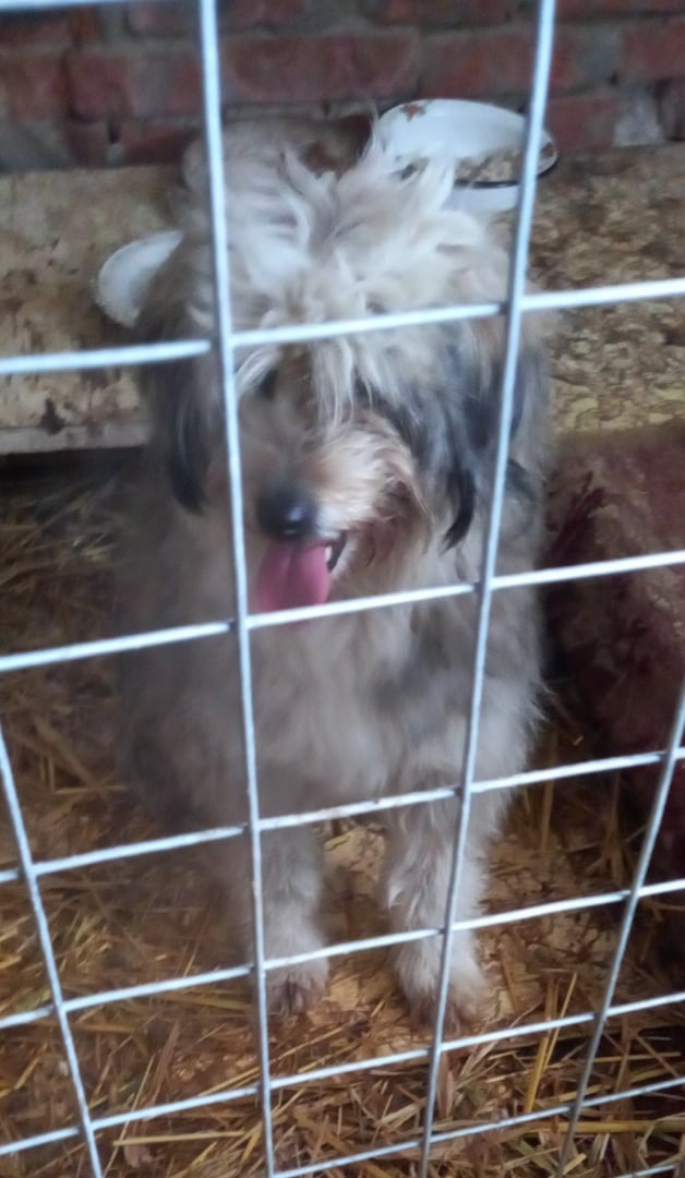 Светлана Репина | Саратов