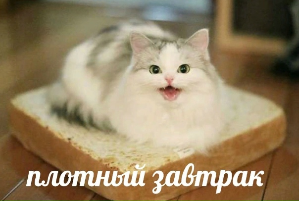 и много белка