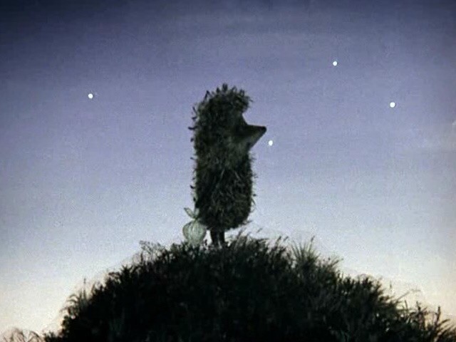 Ирина Шапарь | Москва