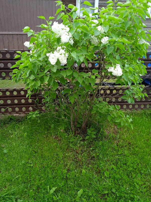 Галина Коваленко | Новодвинск