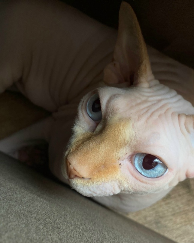 Анастасия Виноградова | Москва