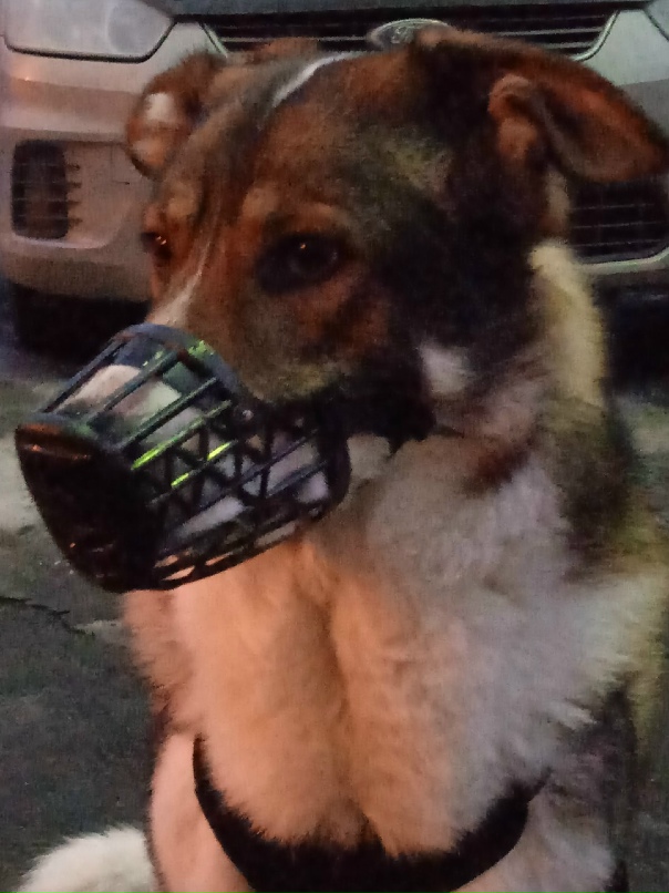 Ольга Демахина | Апатиты