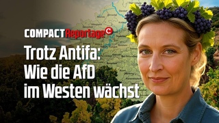 Das ist die AfD-Hochburg im Westen!
