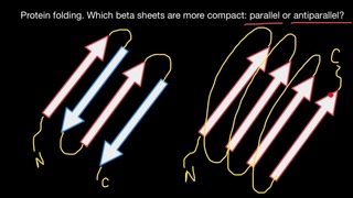 Protein folding -4