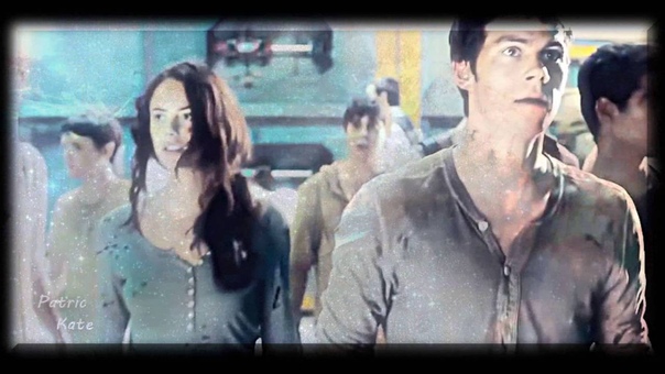 The Maze Runner, , Courtesy