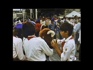 Das letzte Pioniertreffen Karl-Marx-Stadt, 1988