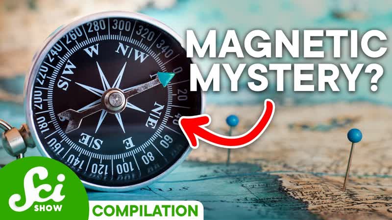 What Do Magnetic Fields Actually Do , Sci Show