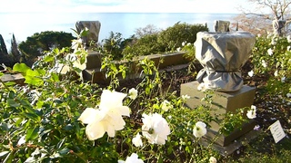 Крым, Алупка  -  Воронцовский дворец -