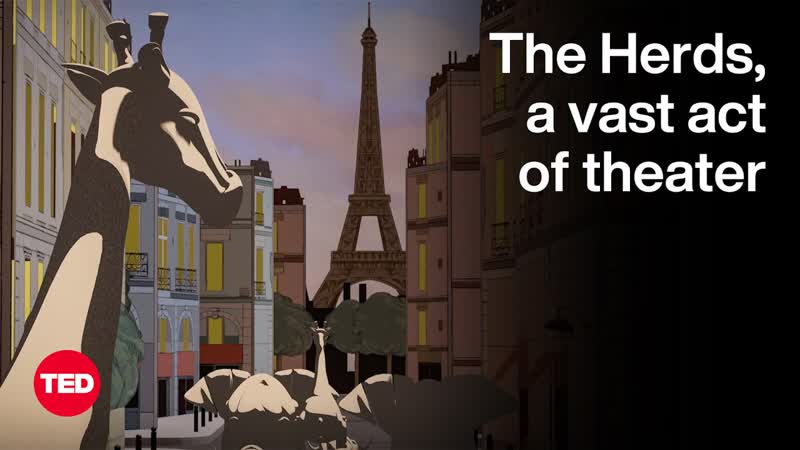 The Herds, a Vast Act of Theater to Spark Climate Action, Amir Nizar Zuabi,
