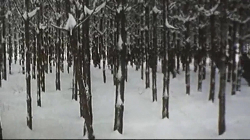 Чёрная берёза (1977) военная драма, реж. Виталий